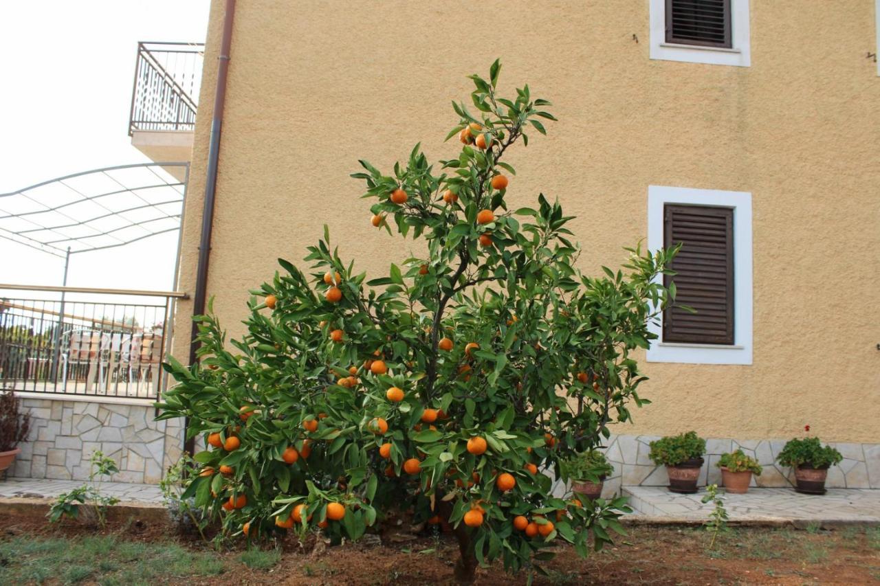 Lily'S Lovely Apartments فاجانا المظهر الخارجي الصورة